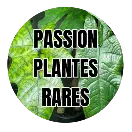 PassionplantesraresBlog
